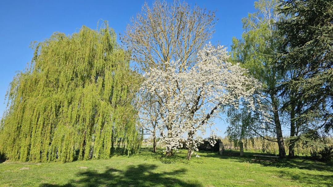 Photo of Outdoor in Villebernier