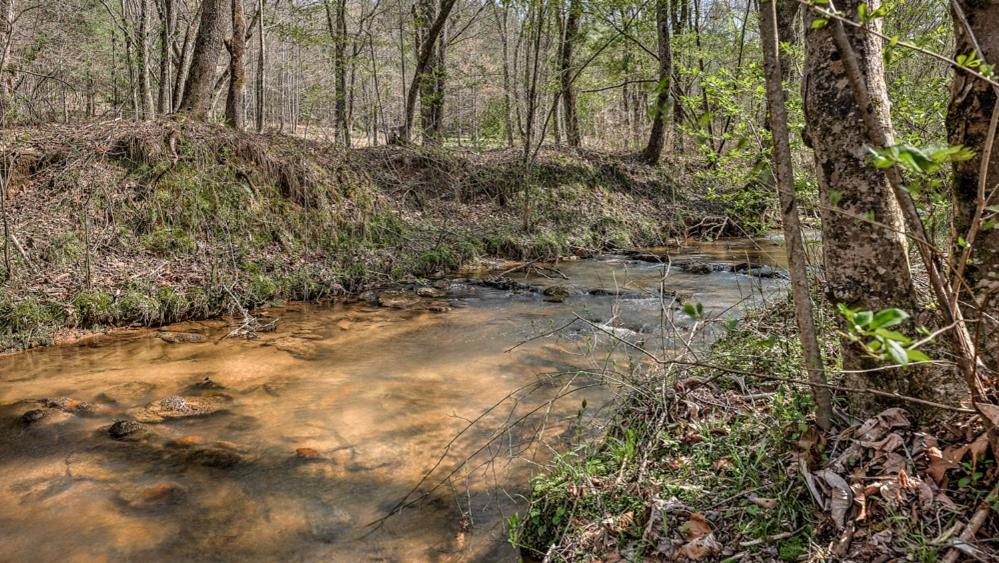Photo of Others in Blue Ridge
