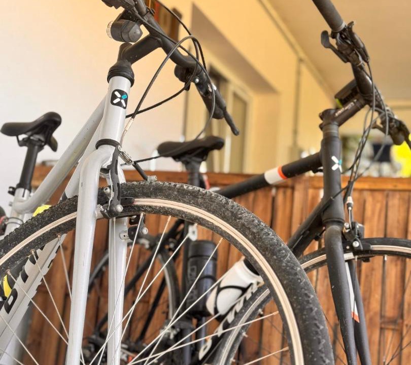 Photo of Others in Sigale