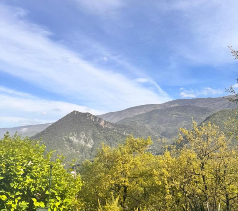 Photo of Others in Sigale