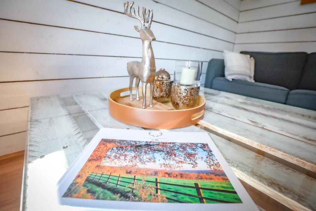 Photo of Others in Paimpont