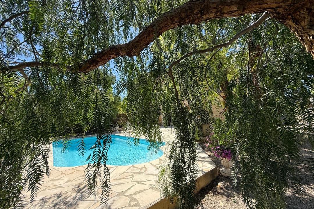 Photo of Others in Le Somail