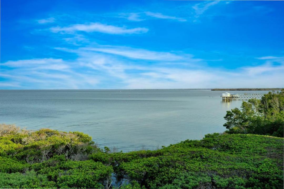 Photo of Others in Captiva