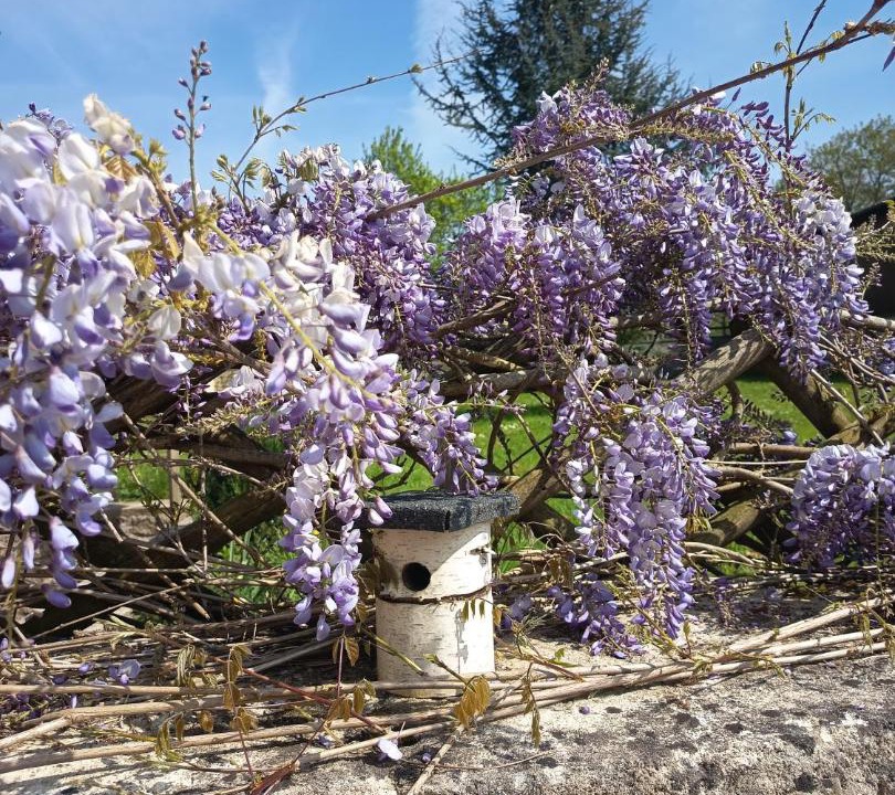 Photo of Outdoor in Tour-en-Bessin