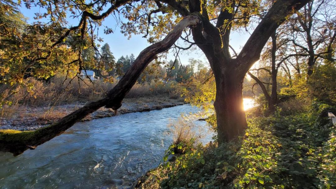 Photo of Others in Washougal