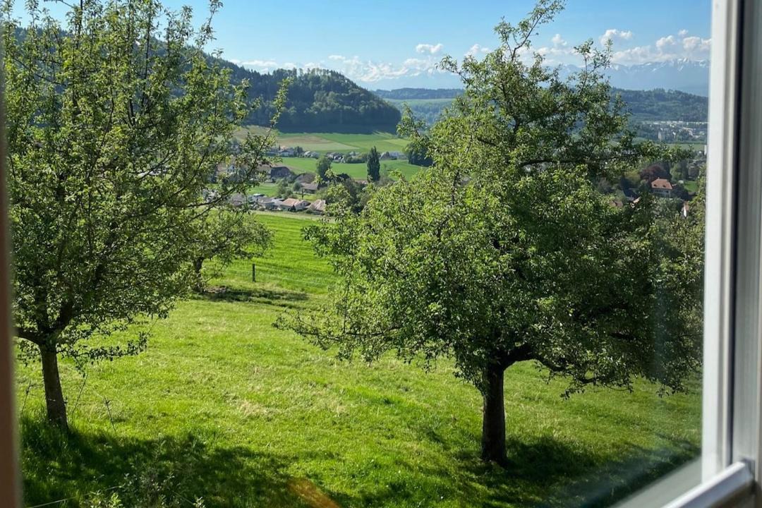 Photo of Others in Bolligen