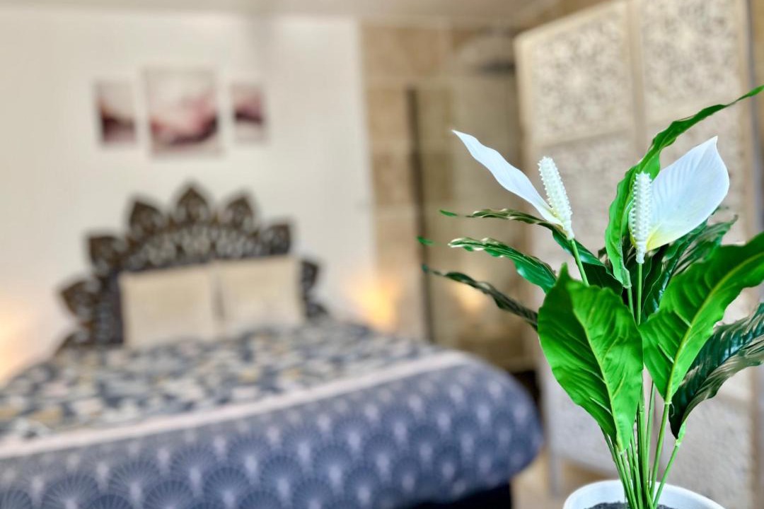 Photo of Bedroom in Saint-Laurent-d'Aigouze