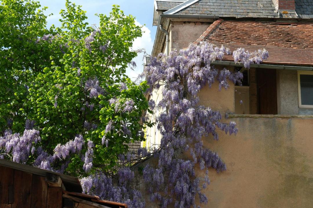 Photo of Others in La Roche-en-Brenil