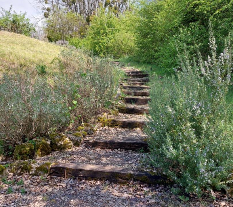 Photo of Outdoor in Hurecourt