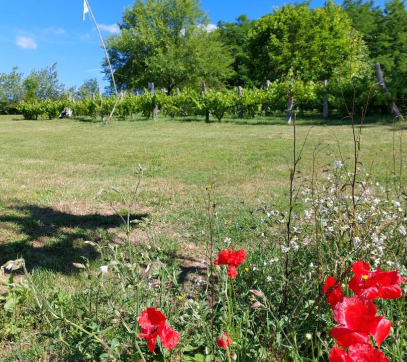 Photo of Others in Hurecourt