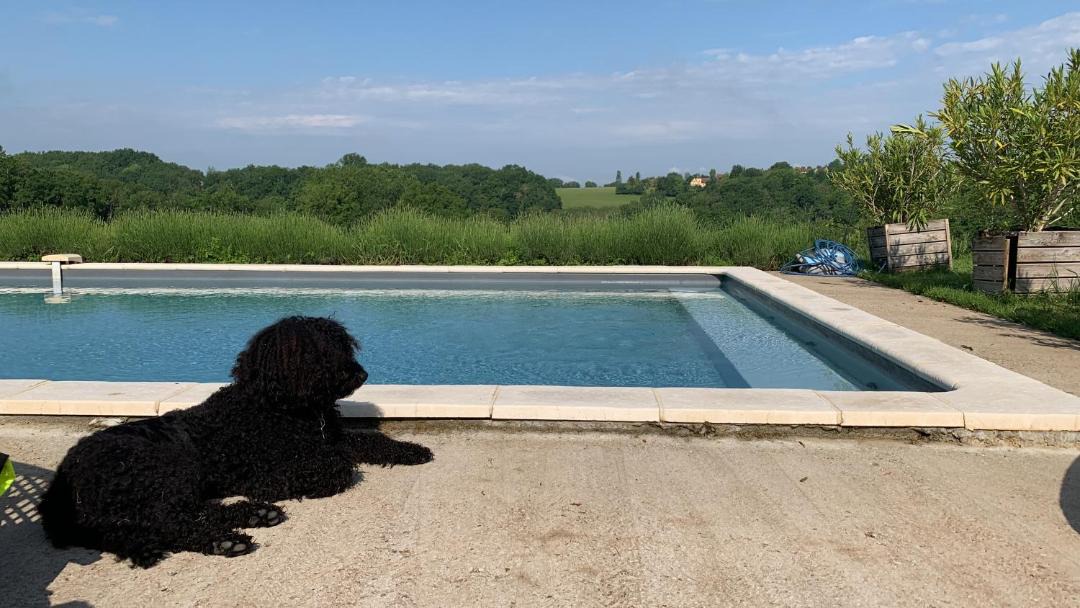 Photo of Others in Coux-et-Bigaroque-Mouzens