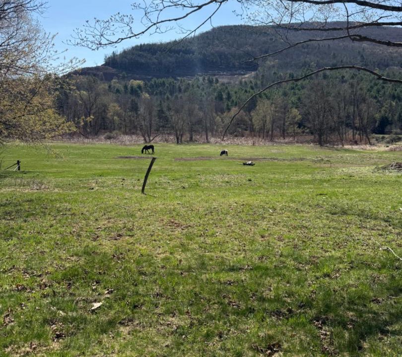 Photo of Others in Windham