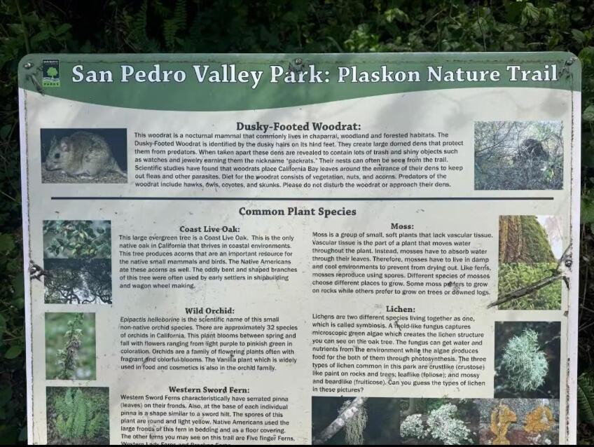 Photo of Outdoor in Sharp Park