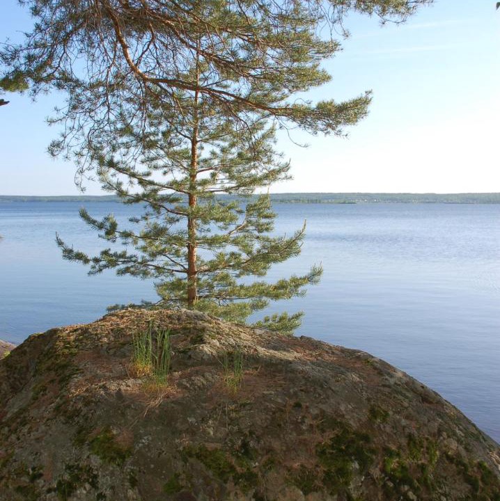 Photo of Outdoor in Kosalma