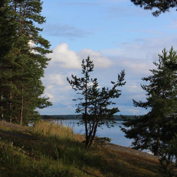 Photo of Outdoor in Kosalma