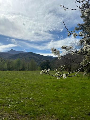 Photo of Outdoor in Scata