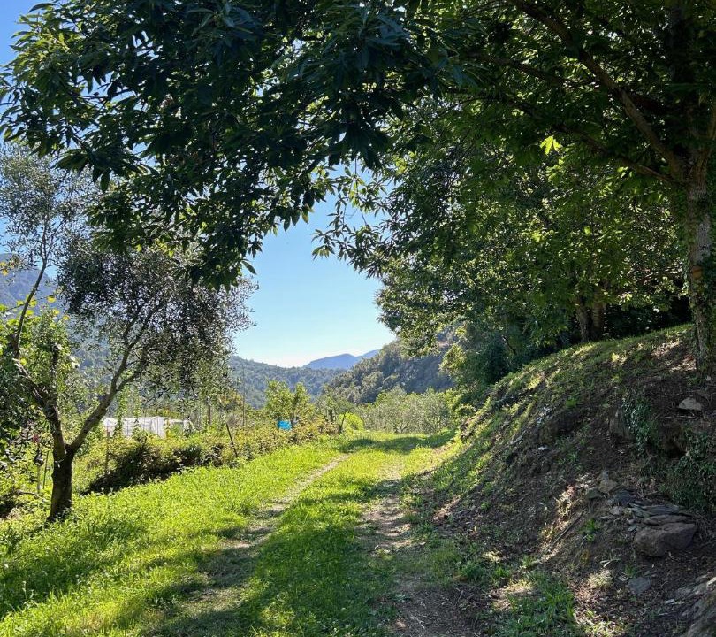 Photo of Outdoor in Scata