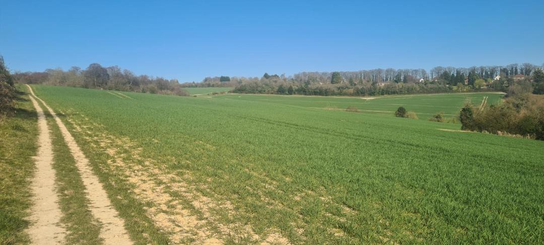 Photo of Others in High Wycombe