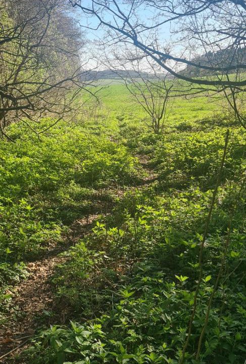 Photo of Others in High Wycombe