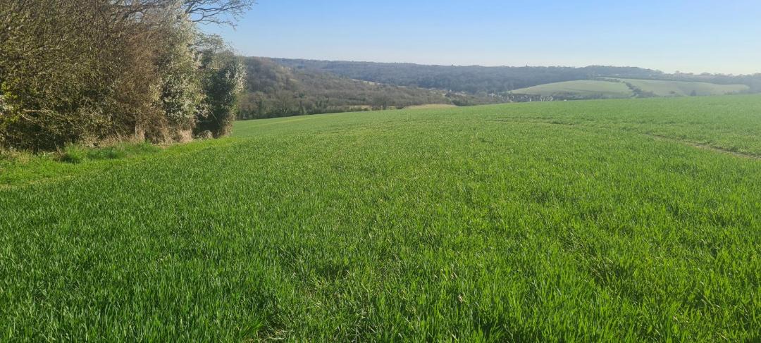 Photo of Others in High Wycombe