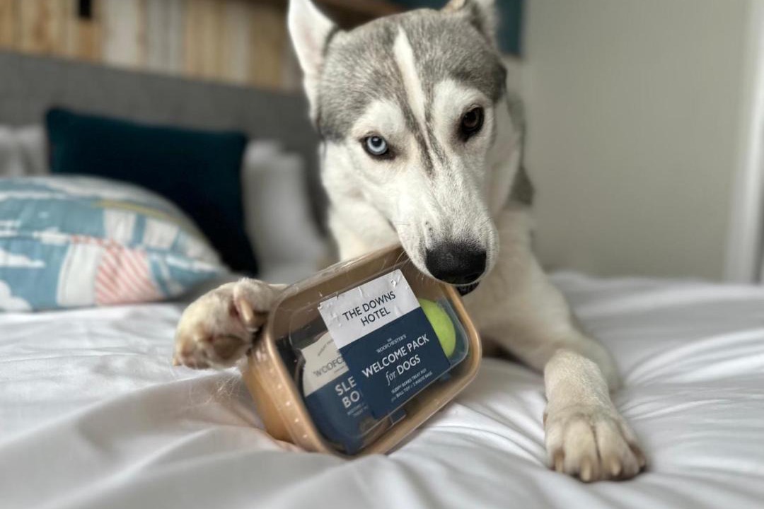 Photo of Others in Woodingdean