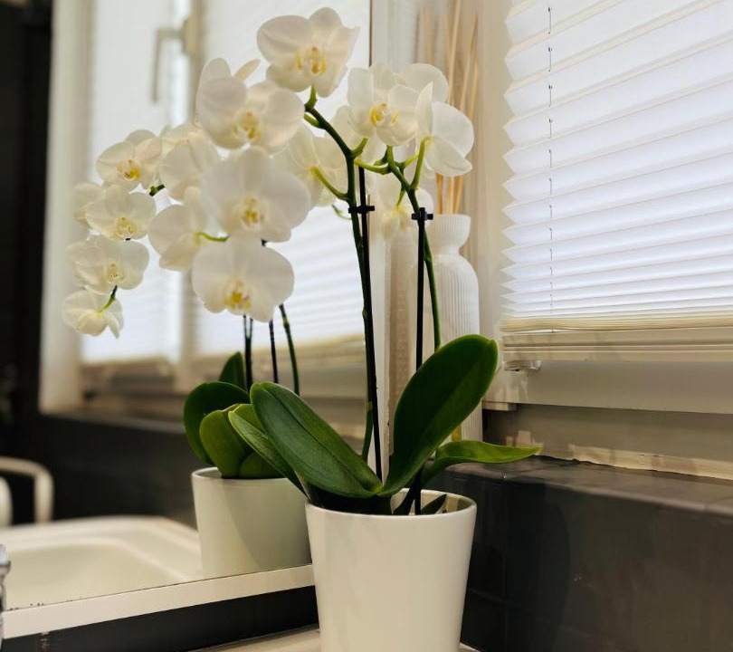 Photo of Bathroom in Mutzig