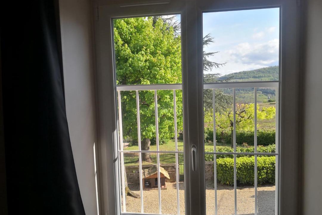 Photo of Patio Balcony in Julienas