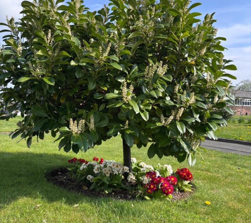 Photo of Outdoor in Beith