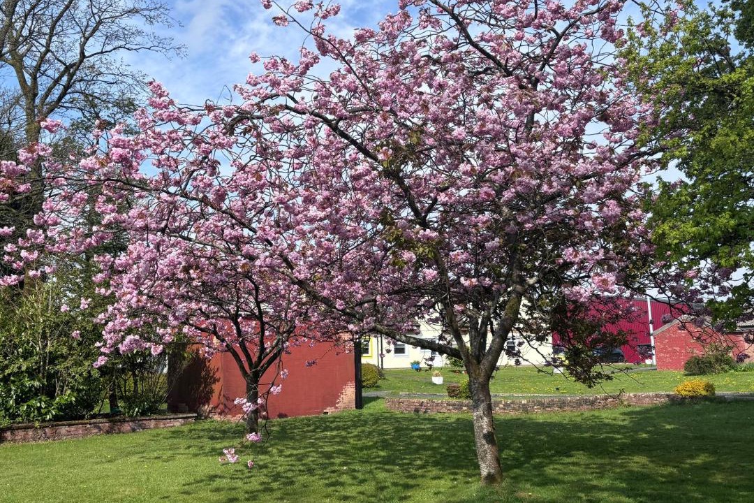 Photo of Outdoor in Beith