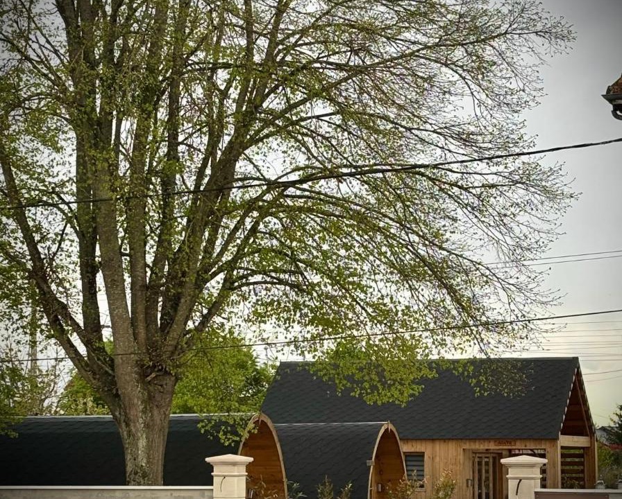 Photo of Others in Saint-Eulien