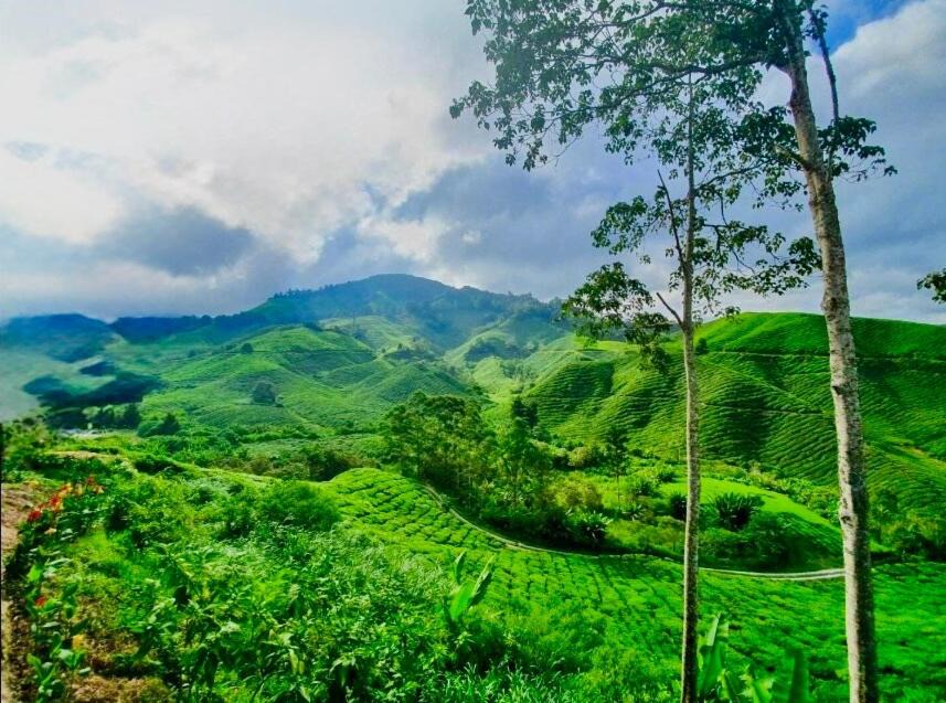 Photo of Others in Sungai Bertam