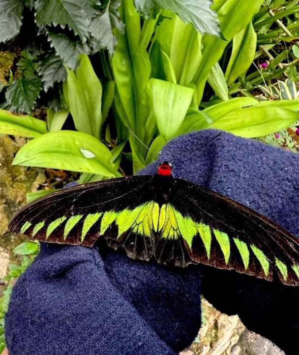 Photo of Others in Sungai Bertam