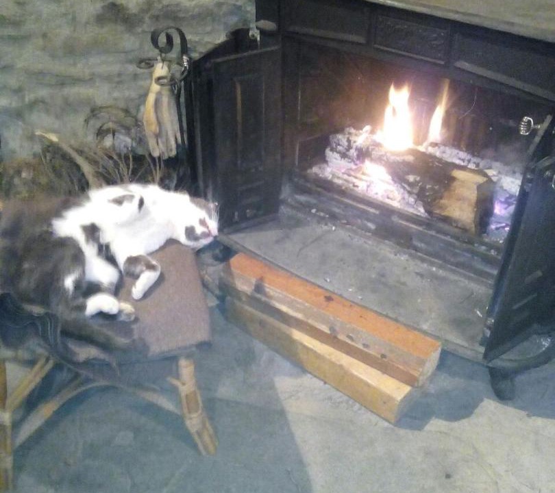 Photo of Others in Urdos