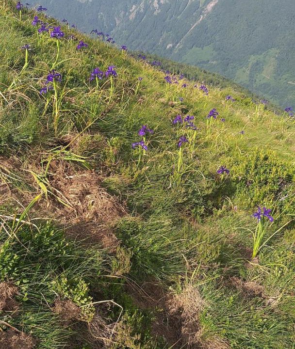 Photo of Others in Urdos