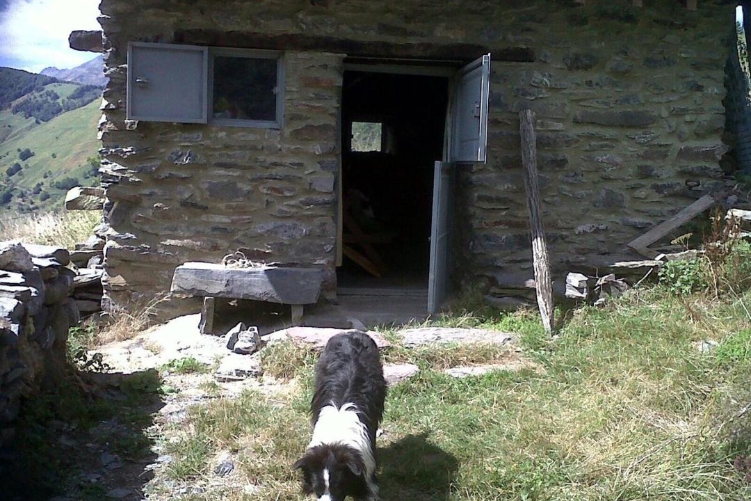 Photo of Others in Urdos