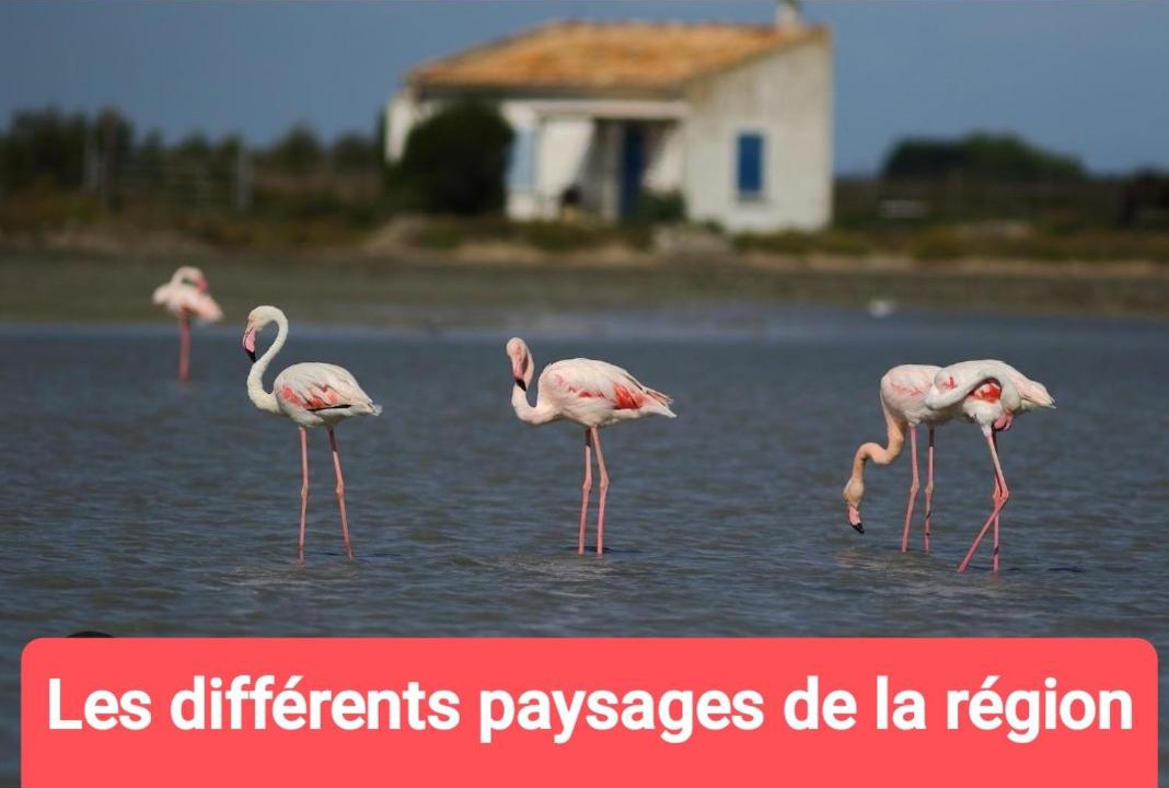 Photo of Others in Carnon-Plage