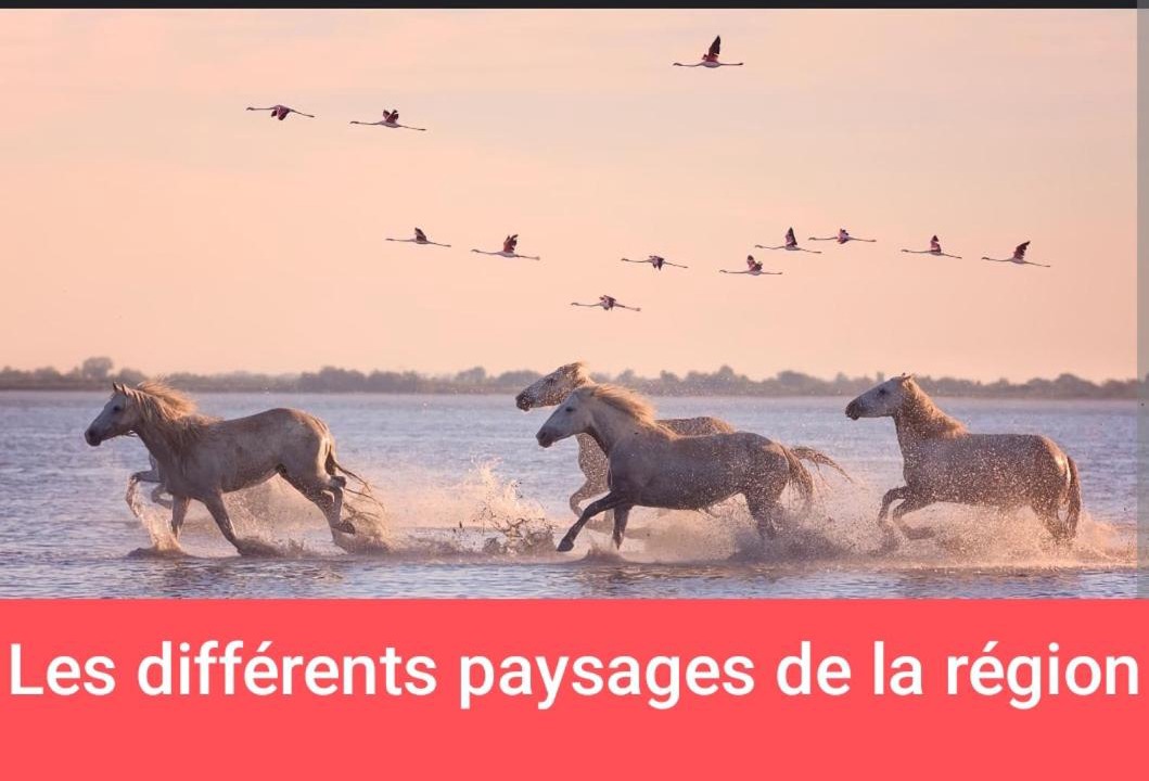 Photo of Others in Carnon-Plage