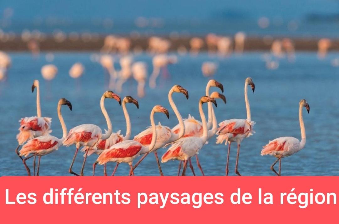 Photo of Others in Carnon-Plage