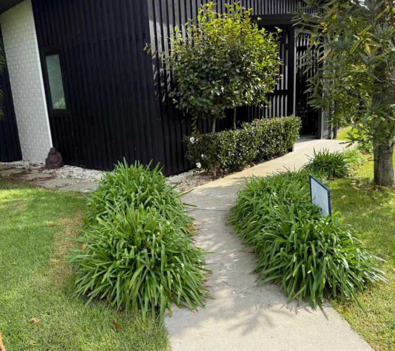 Photo of Others in Pyes Pa