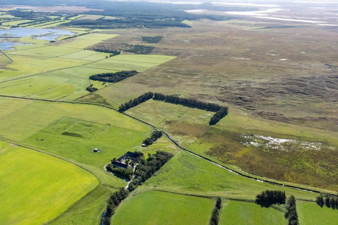 Photo of Others in Hanstholm