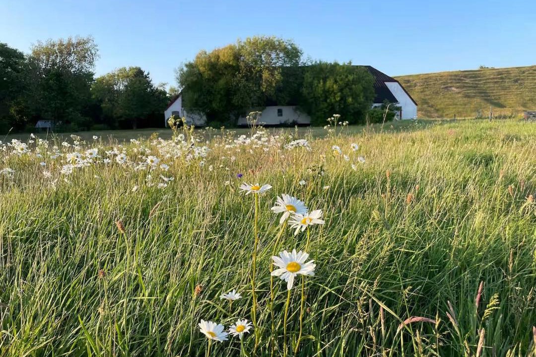 Photo of Others in Hanstholm