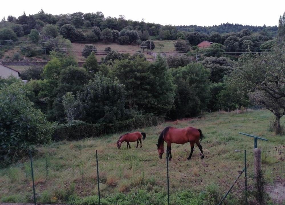 Photo of Others in Saint-Andre-Capceze