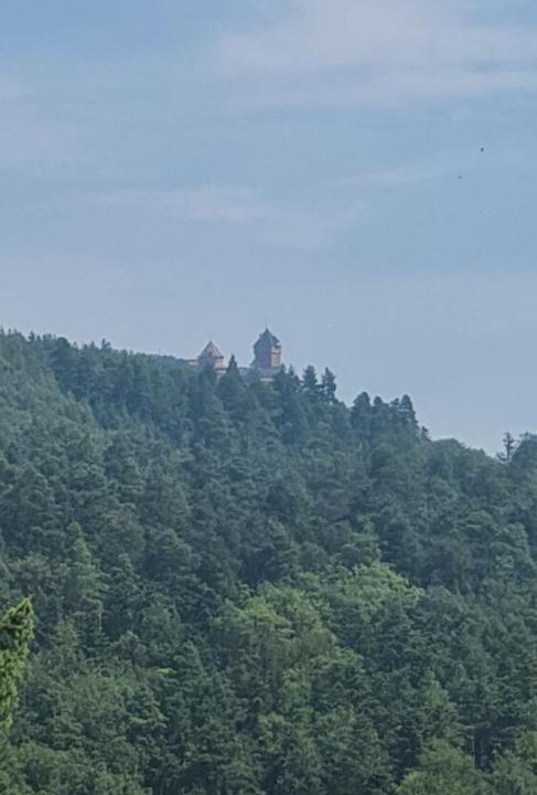 Photo of Others in Thannenkirch