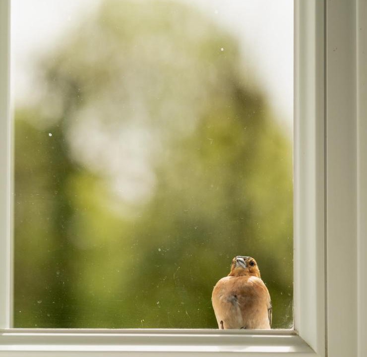 Photo of Others in La Puisaye