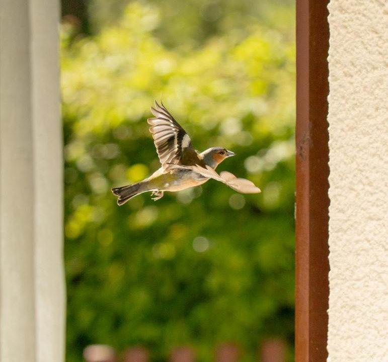 Photo of Others in La Puisaye