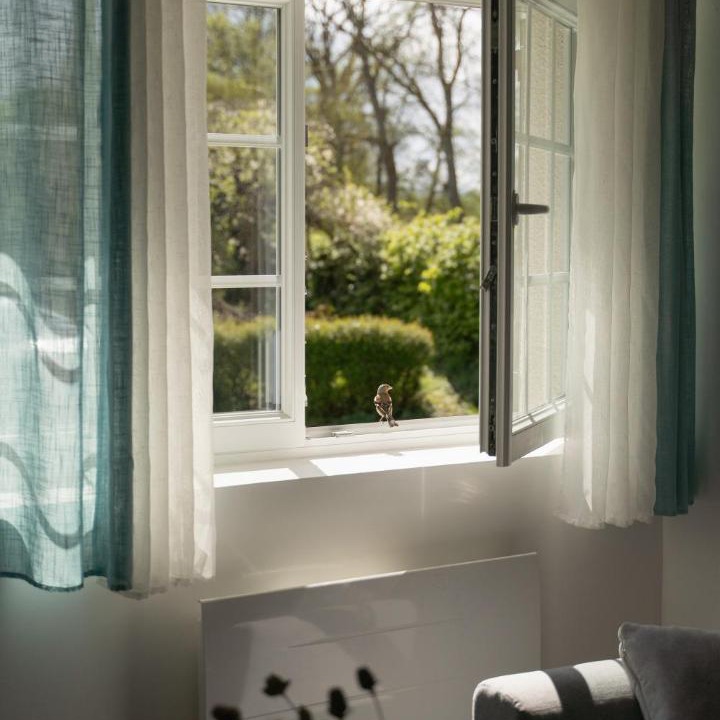 Photo of Others in La Puisaye