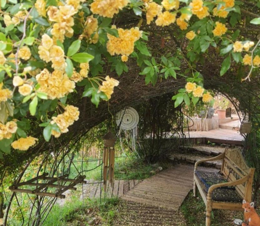 Photo of Others in Aiguines