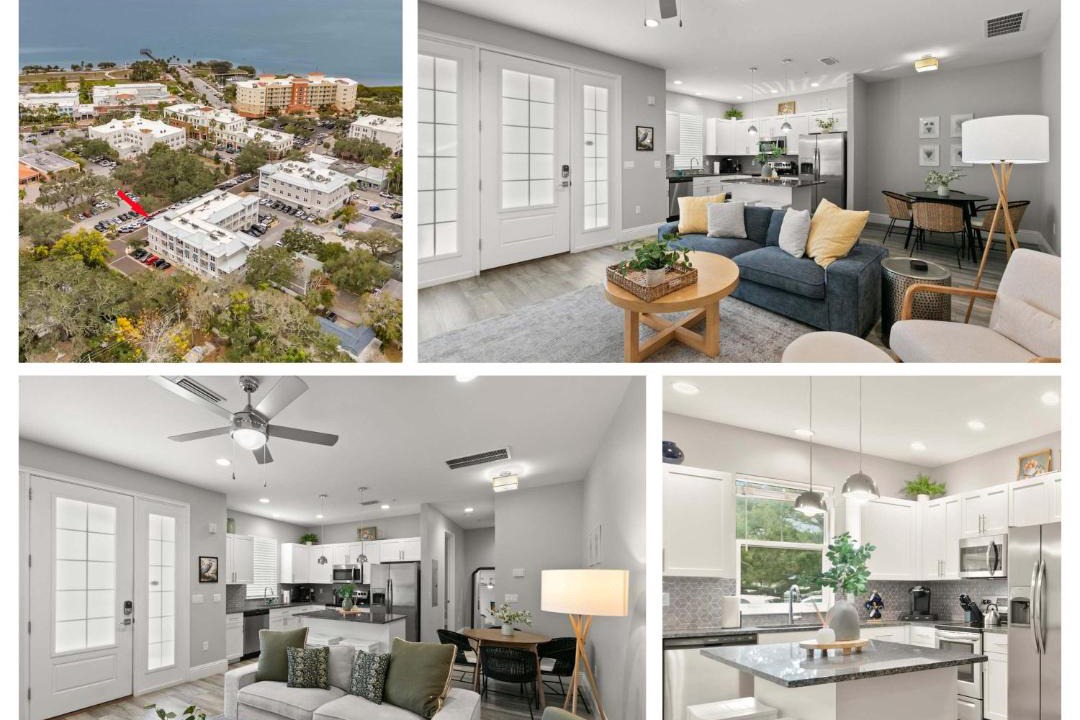 Photo of Others in Safety Harbor