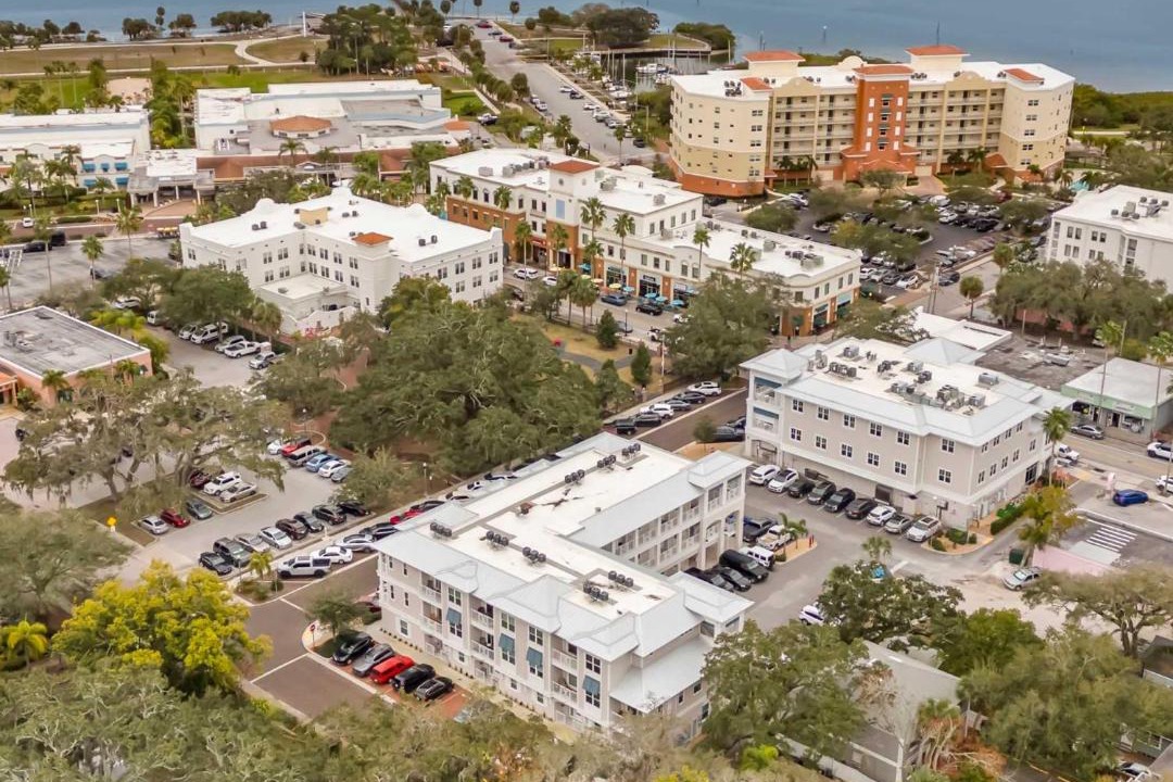 Photo of Others in Safety Harbor