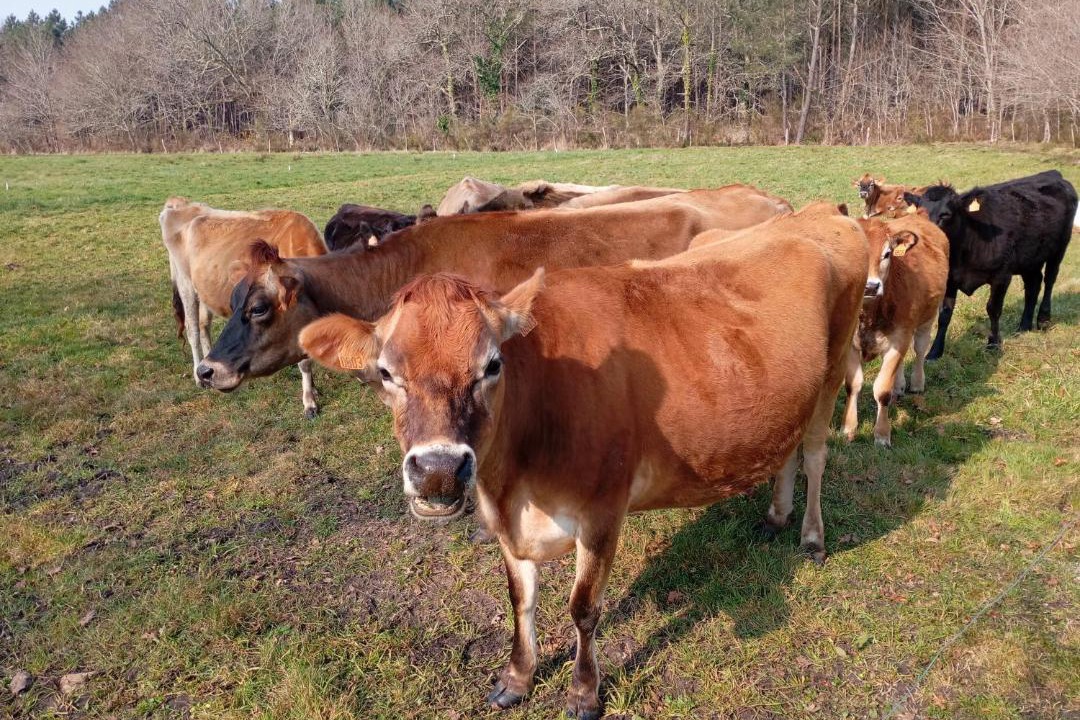 Photo of Others in Salaunes